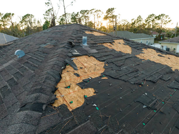 Best Roof Ventilation Installation  in Mount Pleasant, TX