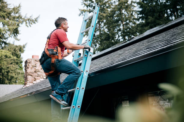 Best Roof Moss and Algae Removal  in Mount Pleasant, TX